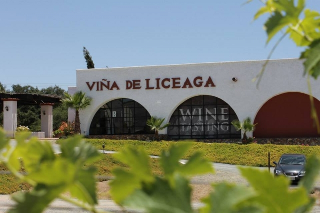 Viña de Liceaga